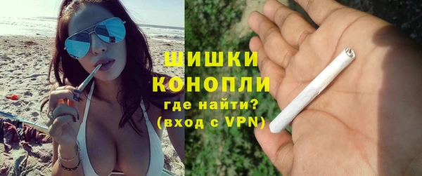 ешки Аркадак
