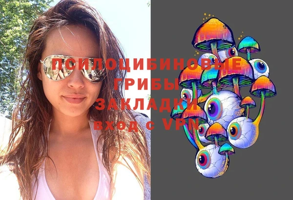 ешки Аркадак